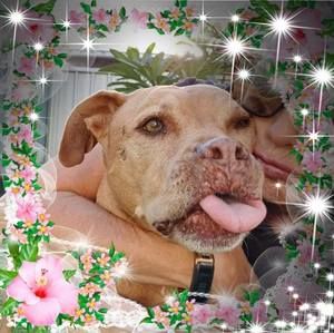 Meet your Posher, Linda